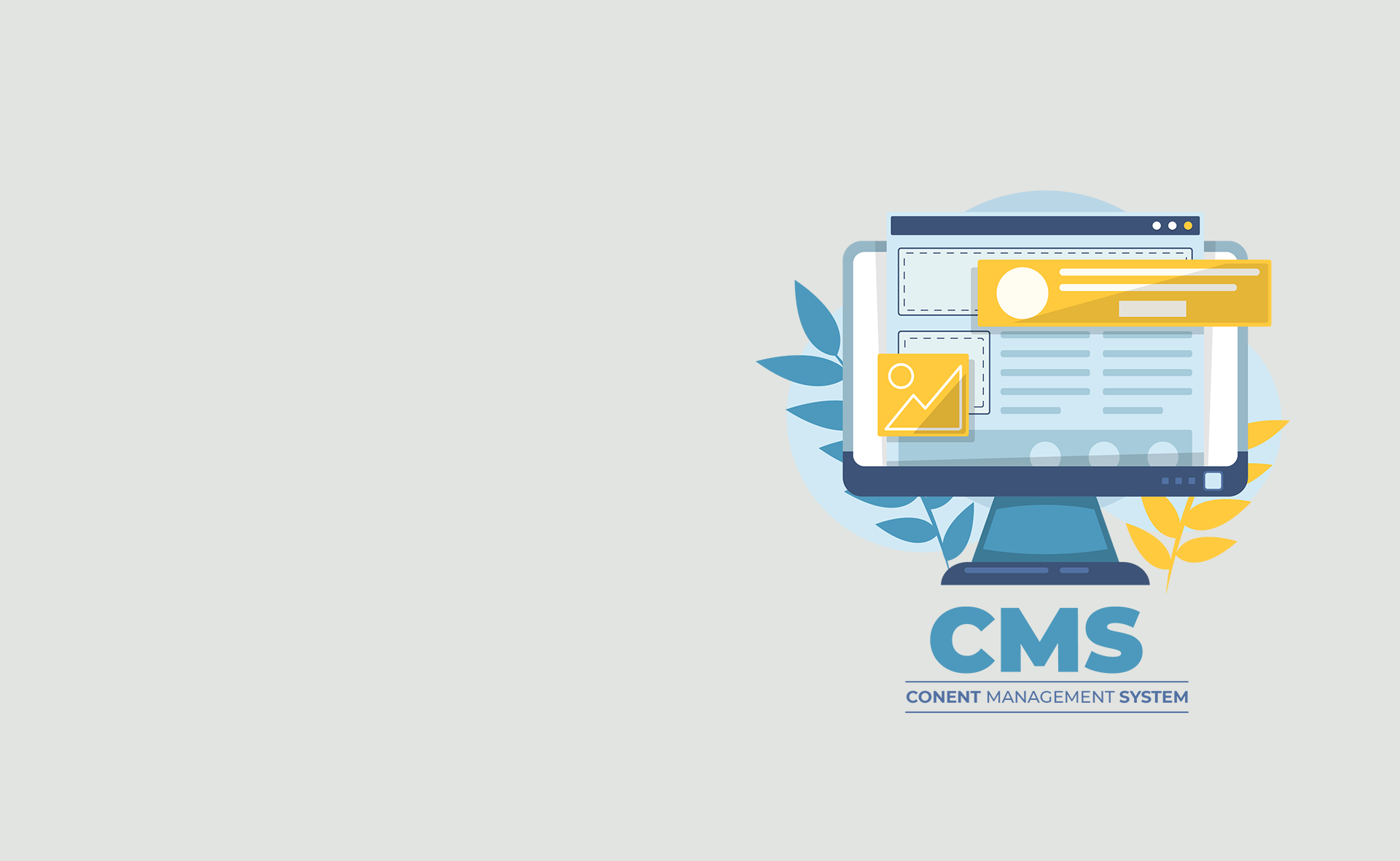 CMS & CRM Solutions